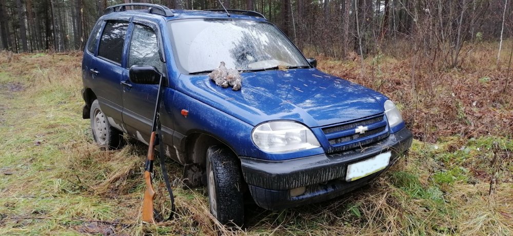 Боевой конь