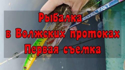 Рыбалка в Волжских протоках. Первая съемка.