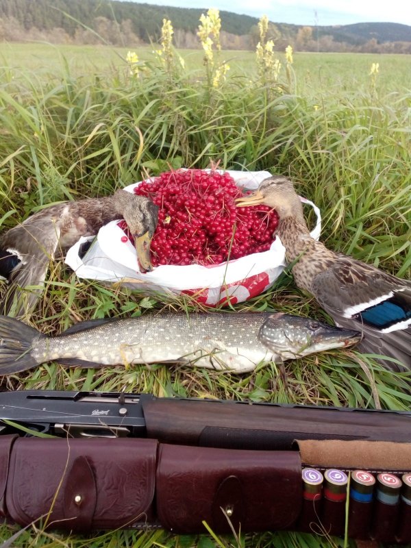 С подхода.