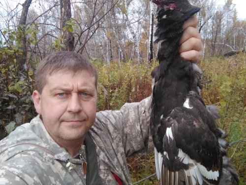Мужики, короче нет у них "золотых гребешков"))