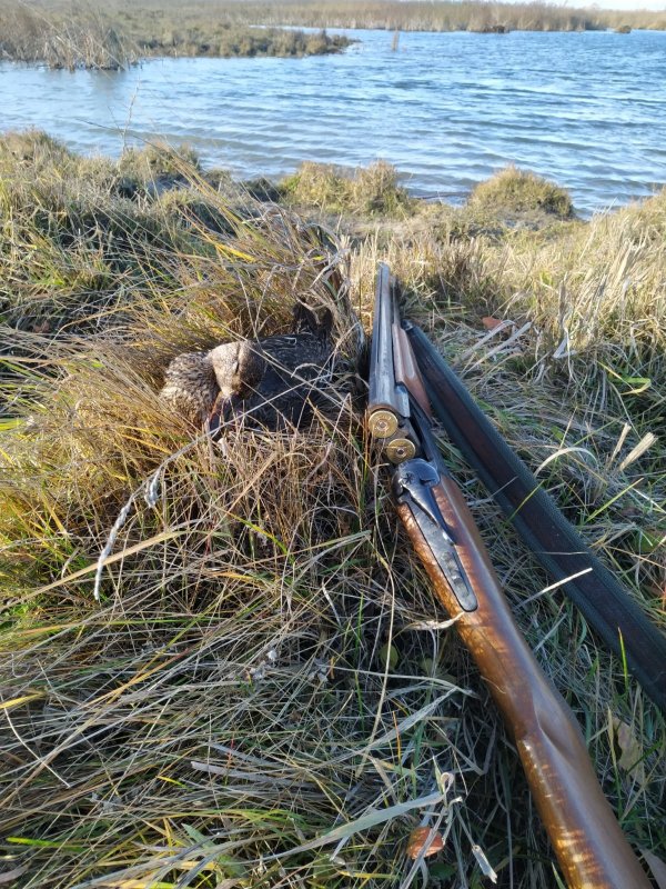 Закрытие