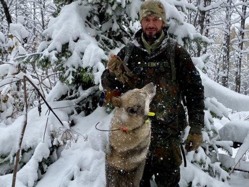 Первый снег...