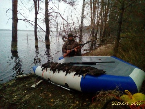 Сегодня