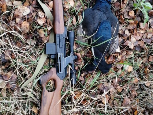 Березовик
