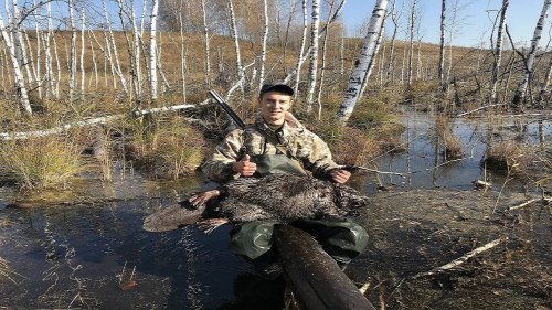 Охота на бобра.Бобр на 26кг.