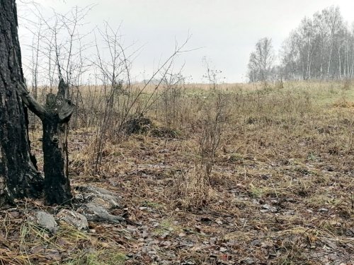 Добыча и орудия охоты