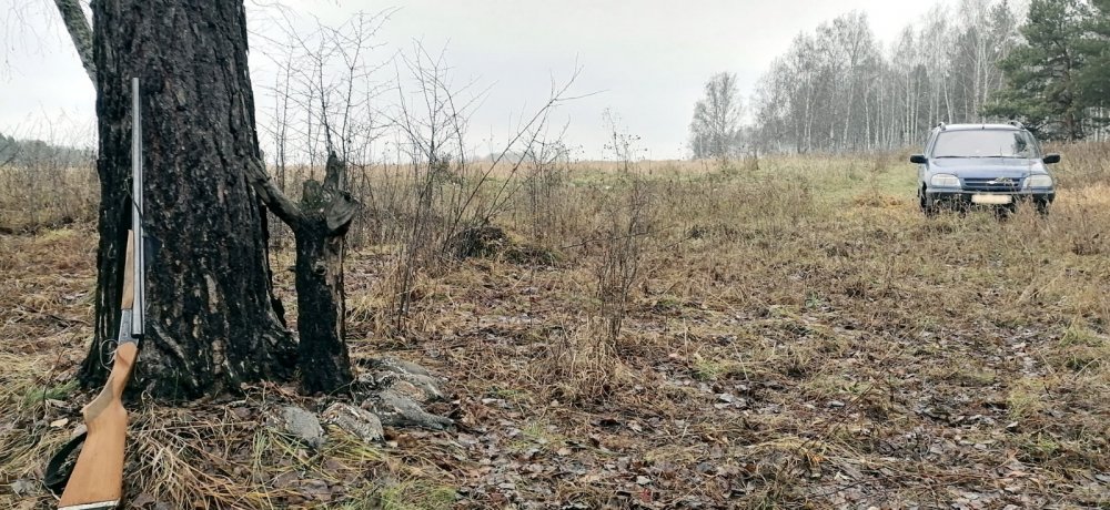 Добыча и орудия охоты