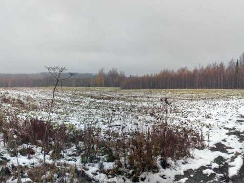 Первый снег, который растаял.