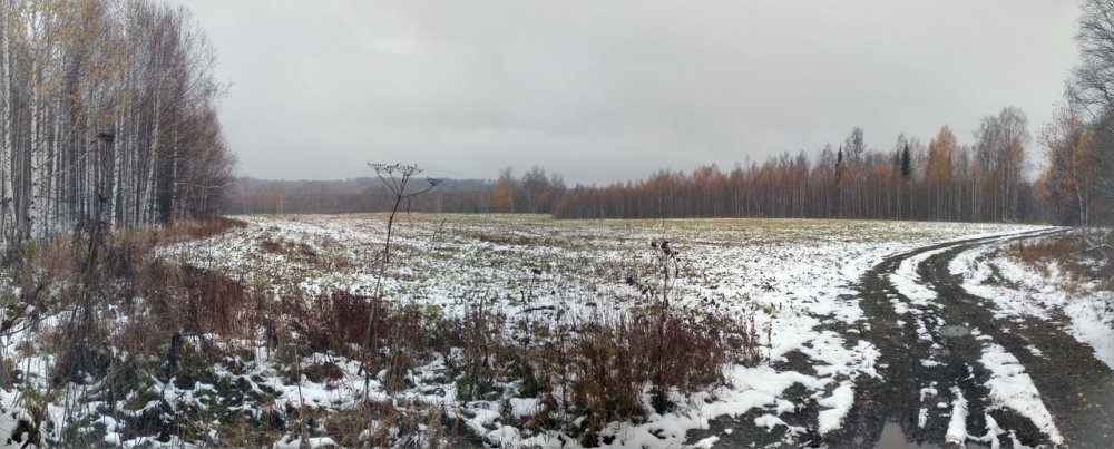 Первый снег, который растаял.