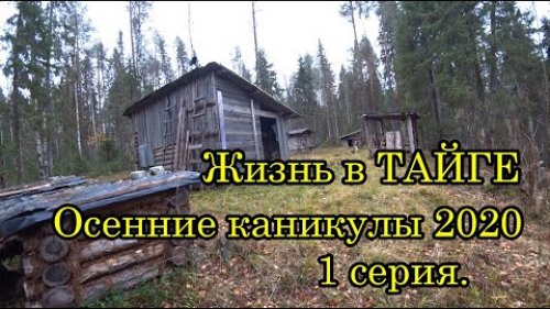 Жизнь в ТАЙГЕ. Осенние каникулы 2020. 1 серия.