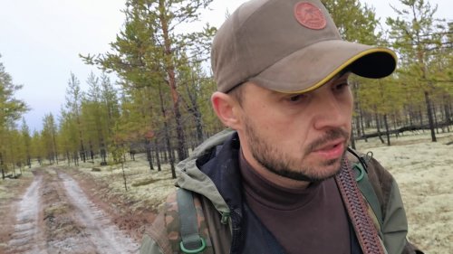 Охота в сосновом бору. Часть 1.