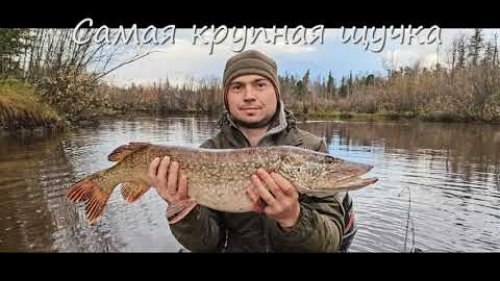 Поход в тайгу.  5 серия.