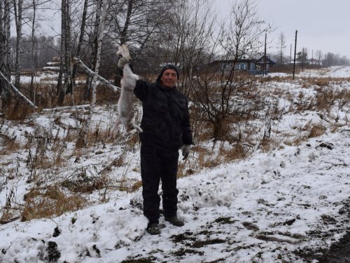 Огородный вредитель)))