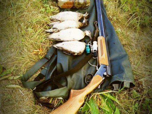 Четыре утрянки на озере Аккуль.