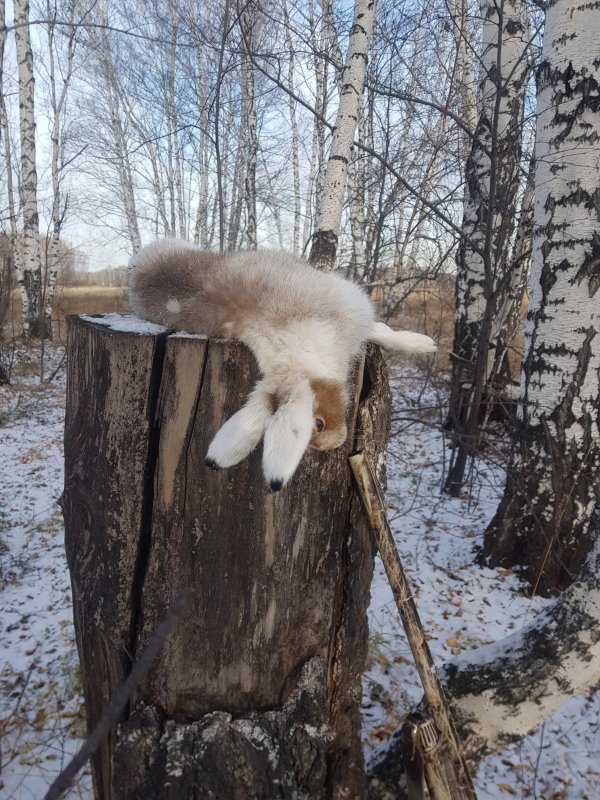 Всех с открытием!!!