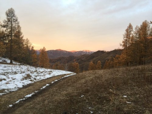 Утро в горах Онгудая