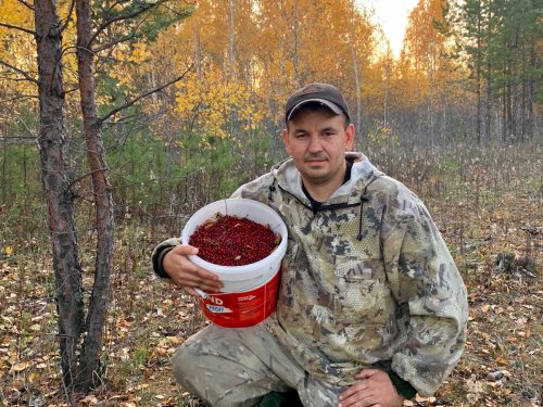 Под занавес...