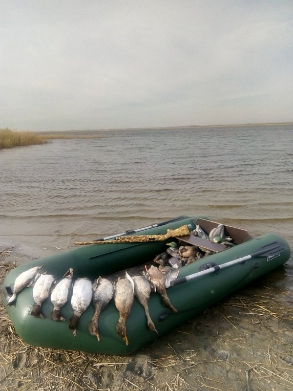 Алтайский край 2020