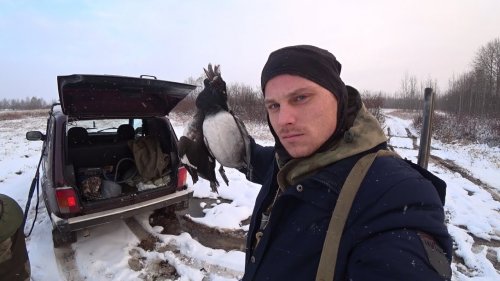 Охота на северную утку с подхода.