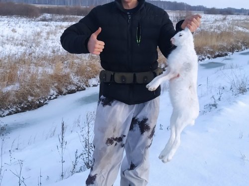Открылся по зайчику)))