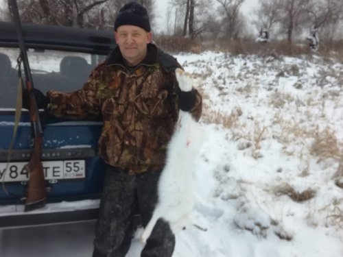Первый зайчик сезона.