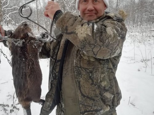 привет гончарову