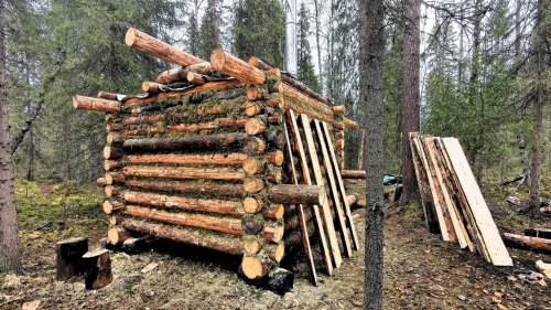 Стройка Лесной Бани от Начала до Конца.