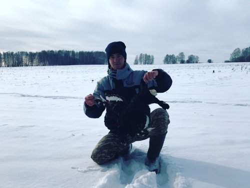 Тетерев