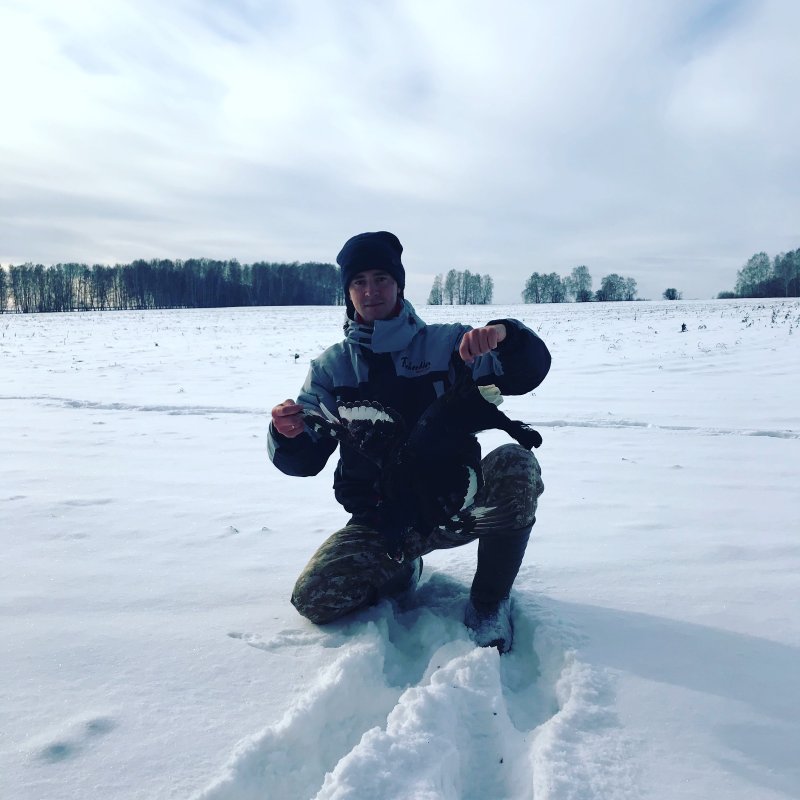 Тетерев