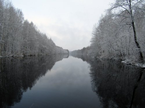 Лесное озеро
