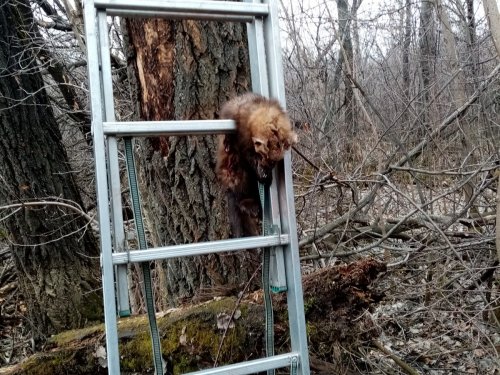 И так бывает.