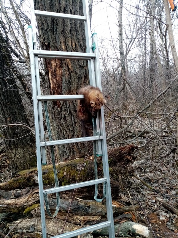 И так бывает.