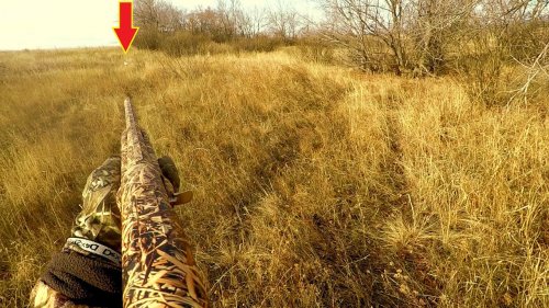Первая охота сына!!! Охота на зайца 2020-2021 / MAX HUNTER