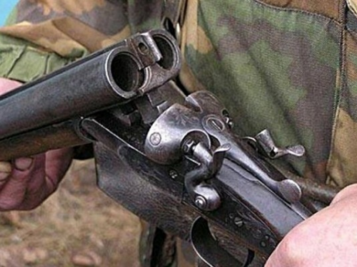Браконьеров арестовали за охоту на лося в Сузунском заказнике