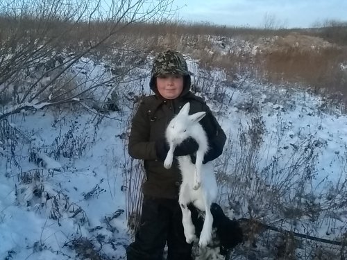 Первый ушастый трофей