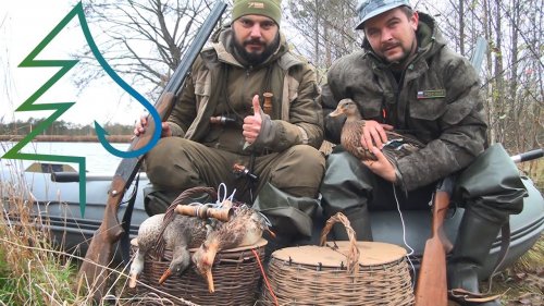 Охота с ночЁвкой на уток с подсадными и на бобра капканами осенью в Подмосковье.