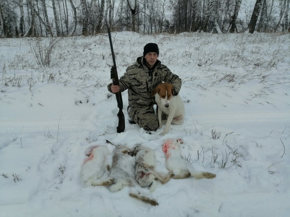 С полем