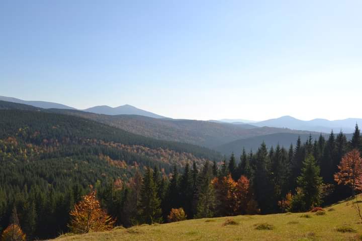 Осень ты прекрасна