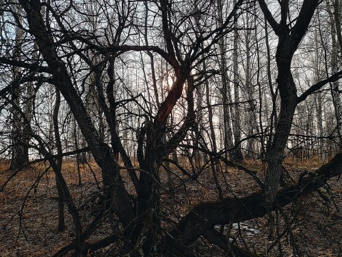 В логу