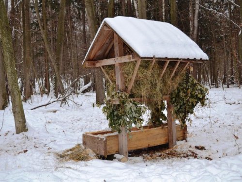 Кормушки для диких зверей.
