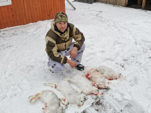 Пятачок