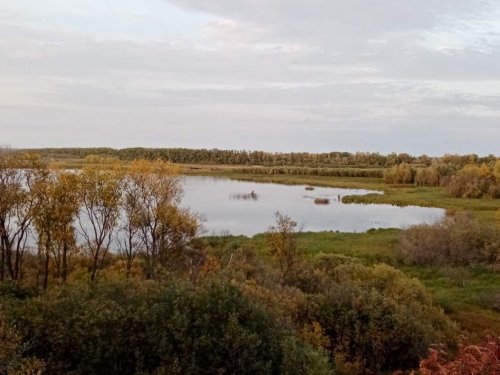 залив