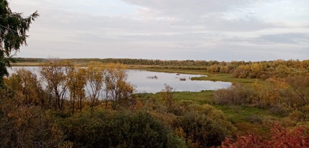 залив