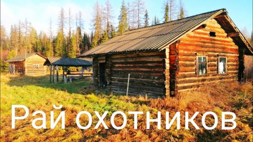 ИДЁМ В ТАЙГУ НА ОХОТУ / НОЧУЕМ В СТАРОЙ ИЗБЕ/ БЫТ ОХОТНИКОВ / МНОГО ИЗБУШЕК НА ТАЁЖНОЙ РЕЧКЕ.