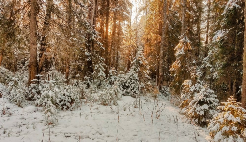 полдень