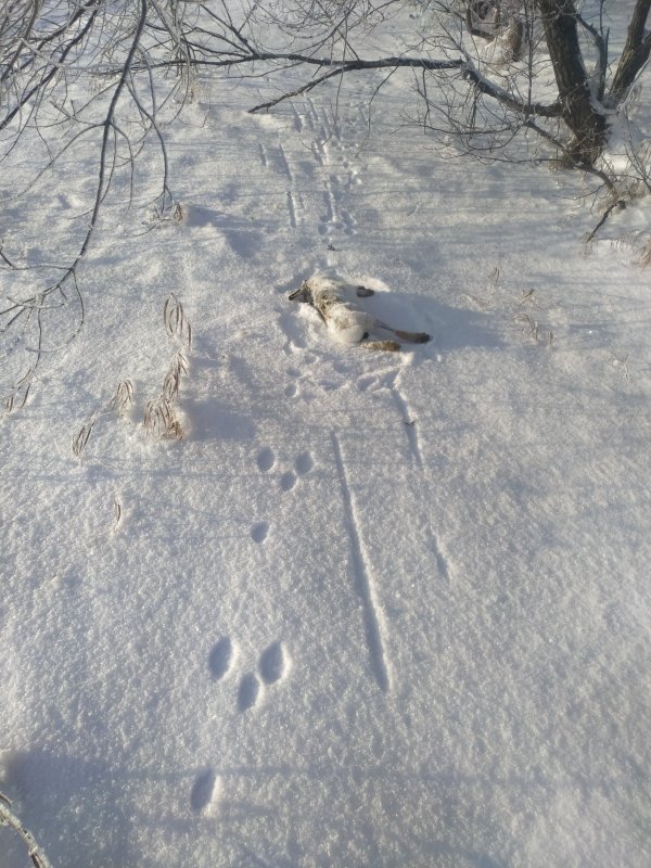 С братишкой прогулялись