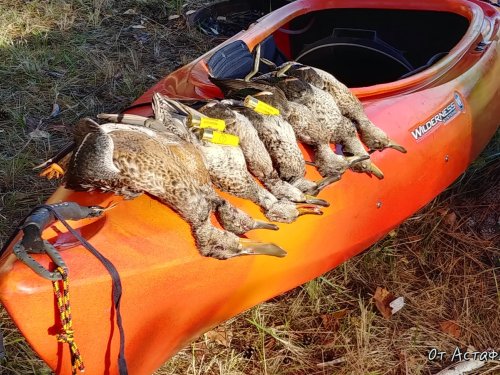 Завяловский район на болоте