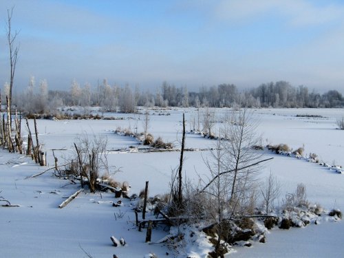 Утро на водоёме