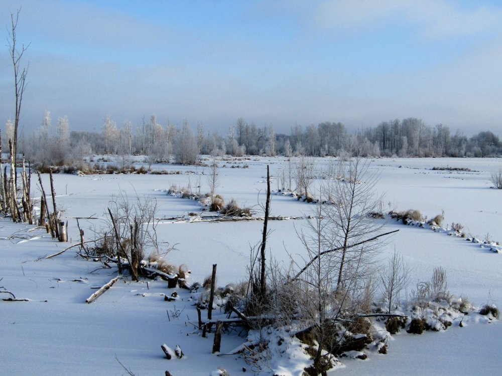Утро на водоёме