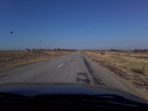 Открытие охоты на зайца